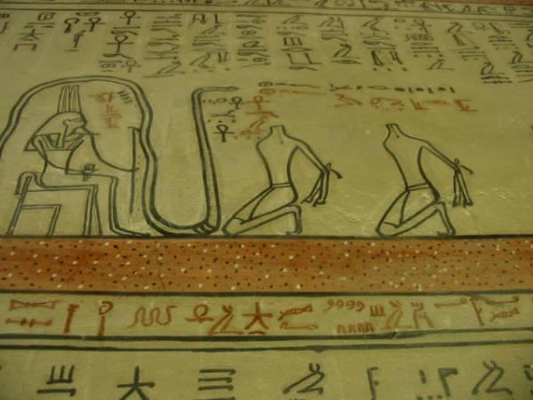 Beauty of the Nile - Image 19